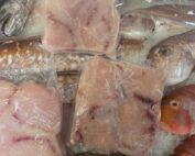 frozen and fresh swordfish